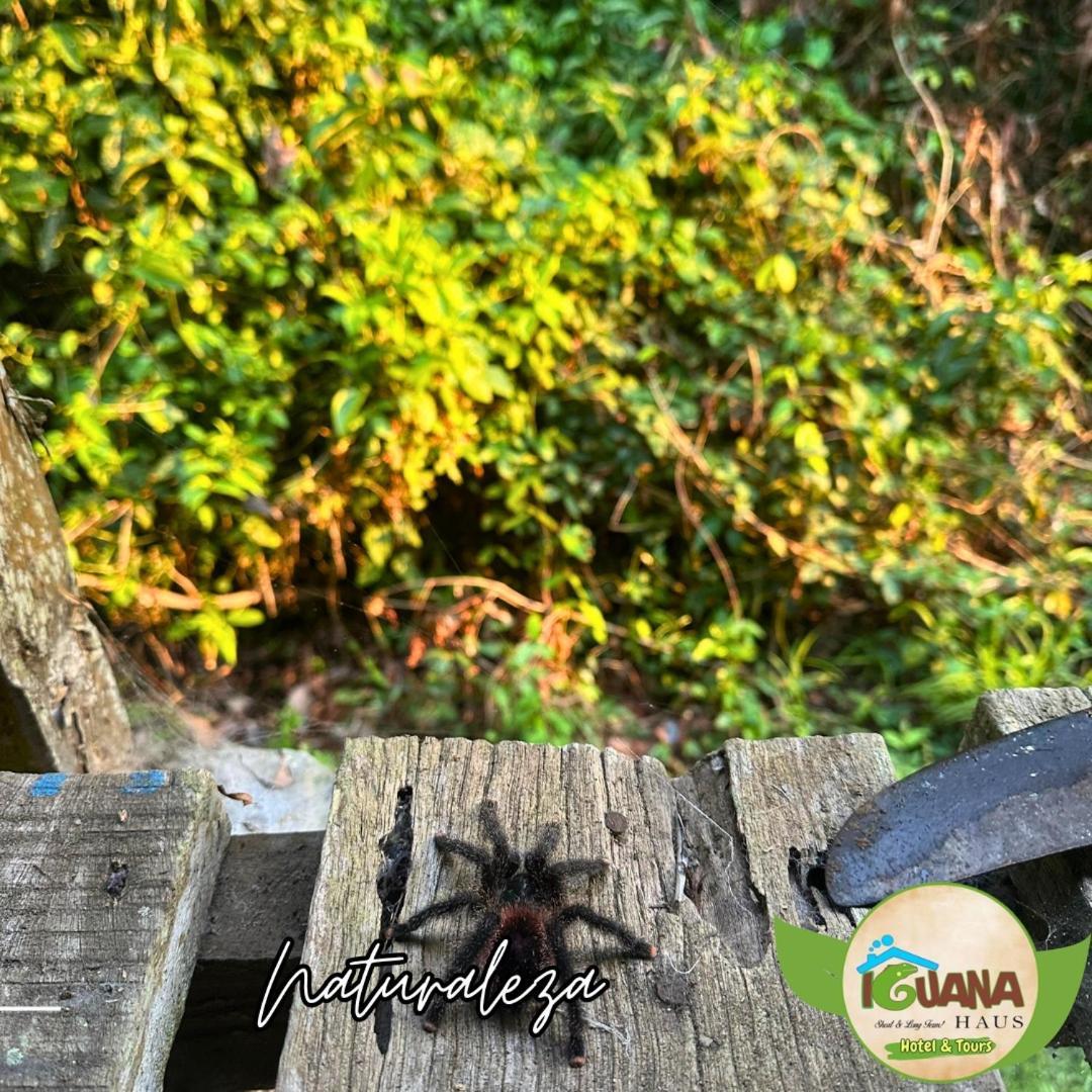 Apartamento Iguana Haus Iquitos Exterior foto